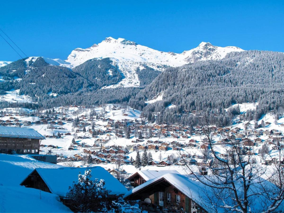 Apartment Schwendi 3 Grindelwald Exterior foto