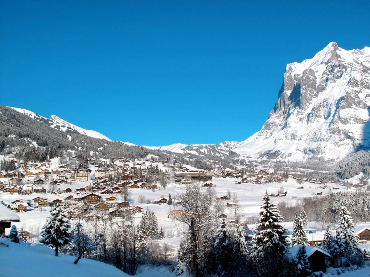 Apartment Schwendi 3 Grindelwald Exterior foto